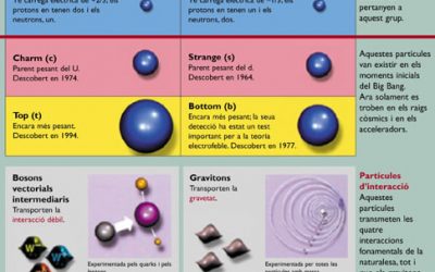 2. Quines són les partícules elementals?