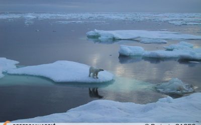 Per què les zones polars de la Terra es diuen Àrtic i Antàrtida?
