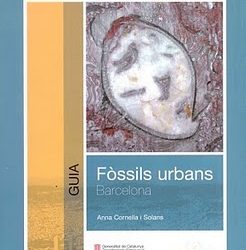 Descobreix els fòssils urbans de Barcelona