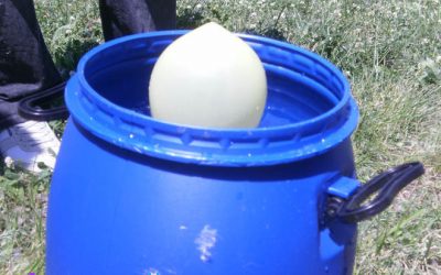 Inflem un globus amb hidrogen (reaccions d'oxidació i de reducció)