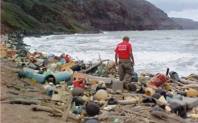 17: El problema dels plàstics al mar