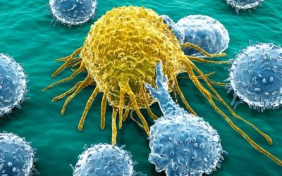 Què és el càncer i com s’investiga per combatre’l?