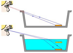 Provoquem miratges: 4 experiments sobre la refracció de la llum - Recerca  en Acció
